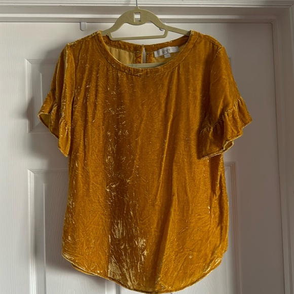 LOFT Tops - Crushed Velvet Top